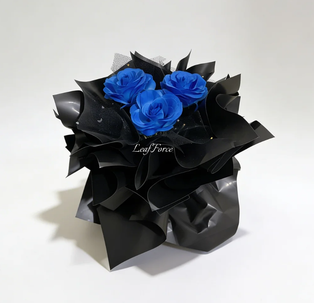 Sapphire Night
